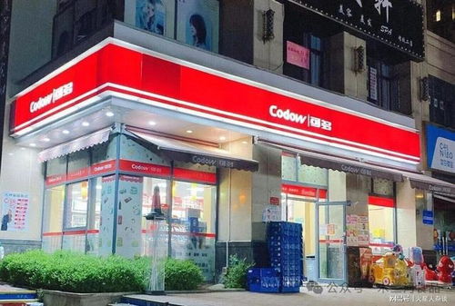 2026年中国便利店百强榜单出炉 湖北表现强劲，五品牌集体入榜